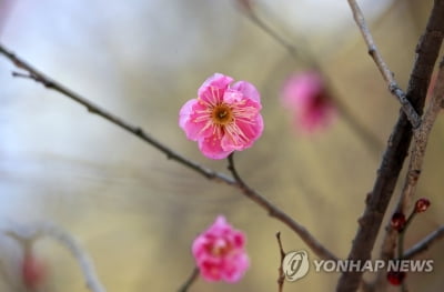 부산·울산·경남 대체로 맑음…건조특보 화재 주의