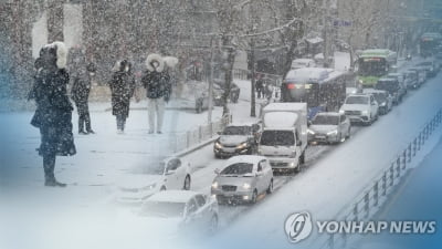 전북 곳곳에 굵은 눈발…순창 복흥면 10.7㎝