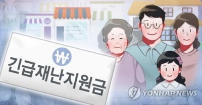 마른 수건 짜서라도…충북 지자체 재난지원금 카드 만지작