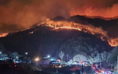 합천 산불 계속 타올라…인력 1000명 야간 진화·100여명 대피