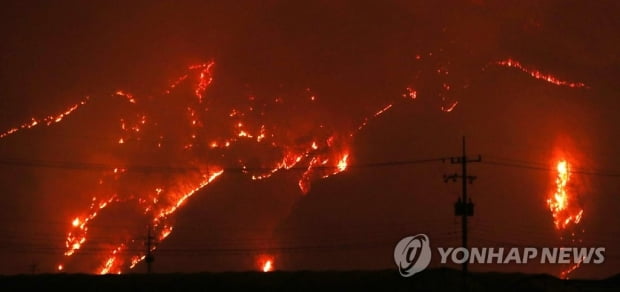 "이런 불은 처음"…합천서 넘어온 산불에 잠못드는 고령 주민들