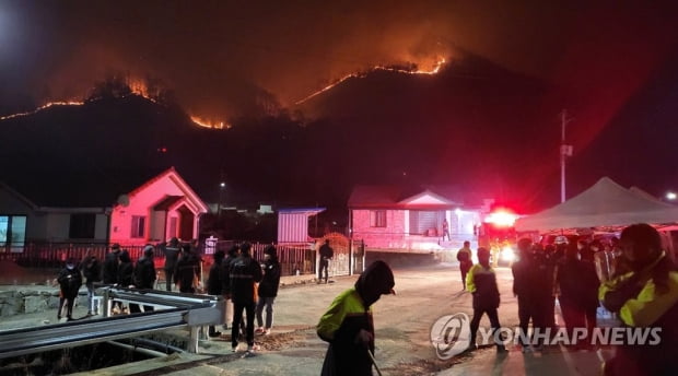 합천 산불 계속, 축구장 280배 크기 타…밤새 확산 저지