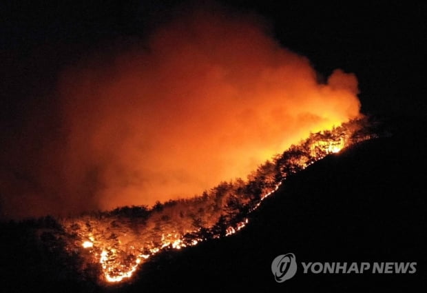 마을까지 닥친 합천 산불…헤드램프 의지해 갈퀴로 방화선