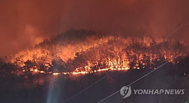 마을까지 닥친 합천 산불…헤드램프 의지해 갈퀴로 방화선