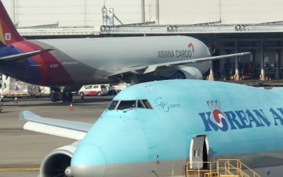 싱가포르, 대한항공·아시아나 합병 승인…공정위 오늘 심의