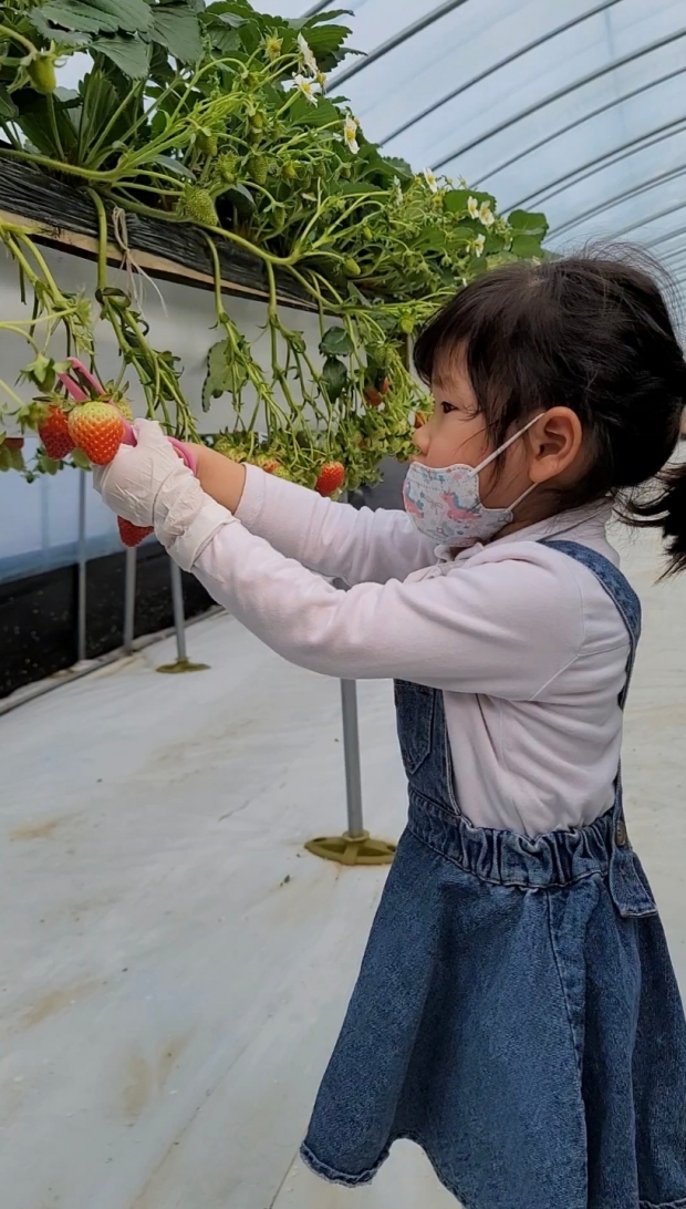 겨울의 끝자락, 달콤한 팜캉스 상하농원 &lsquo;꼬마농부 딸기스쿨 패키지&rsquo; 연장 운영