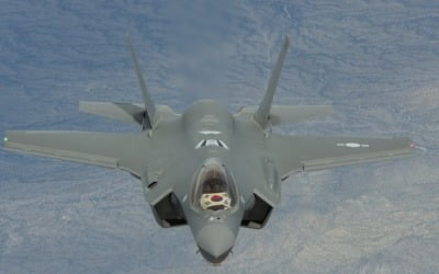 F-35A '착륙 사고' 원인…"독수리가 충돌 후 기체 내부 들어가"