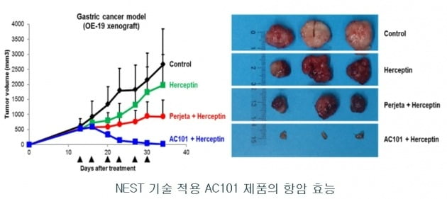 AC101 위암 모델 전임상 효능 / 사진 제공=앱클론 사업보고서