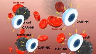 암세포만 골라 '싹둑', 암 정복 다가선 면역세포 치료법
