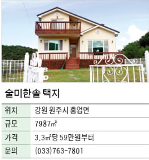 술미한솔 택지, 저수지가 둘러싼 원주시 주택용지