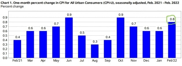 미국의 지난달 소비자물가지수는 전달과 비교해도 0.8% 뛰었다. 미 노동부 및 트레이딩이코노믹스 제공
