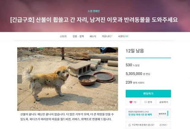 "우크라·동해안 산불 도와주세요"…'긴급구호 펀딩' 열렸다