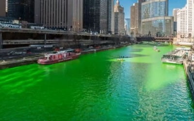 온통 '초록색'으로 물든다…美 시카고강에 무슨 일이 [글로벌+]
