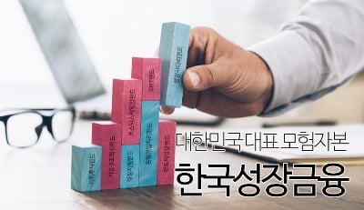 정치권 유탄맞은 성장금융...경영 공백 우려