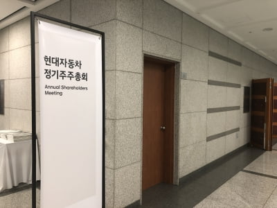 현대차 오늘 주총…정의선 회장 사내이사 재선임 예정