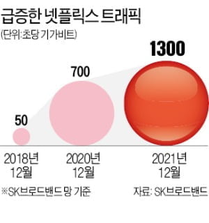 카지노 사이트 망 무임승차에…"넷플 안보는 한국인까지 돈 낸다"