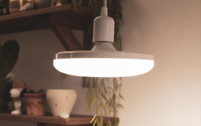 히포팜텍, 식물생장용 LED 조명 크라우드 펀딩 도전