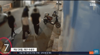 '미라 고양이' 슬쩍 버리고 간 남성…CCTV에 포착된 모습