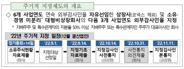 (사진=금융감독원)