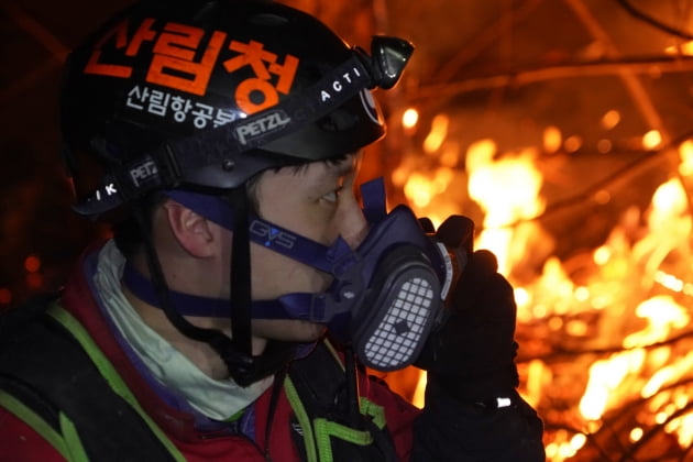 고용부 "동해안 산불 진화인력 처우 실태조사"