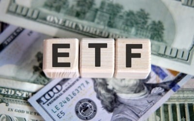 '투자 수익률·다양성·편리함' 3박자…20년 새 200배 커진 ETF