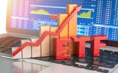 글로벌 기관투자가 84% "올해 ETF 투자 확대"