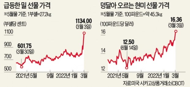 우크라發 곡물난…밀 이어 쌀값까지 불질렀다