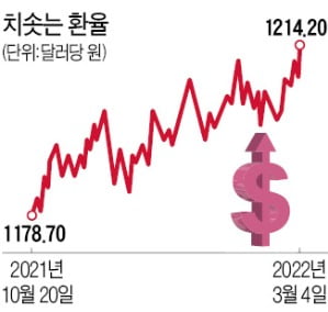 환율 뜀박질…"1250원까지 치솟을 수도"