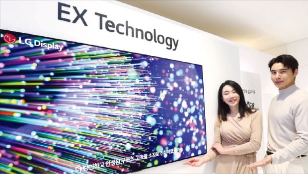 LG디스플레이의 차세대 OLED 패널 ‘OLED. EX’. /LG 제공
 