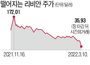 "생산속도 더뎌"…리비안 주가 폭락