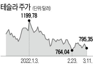 골드만 "테슬라·폭스바겐 상승여력 50% 넘어"