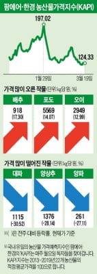 양파값 83% 급락, 대파도 3분의 1 토막