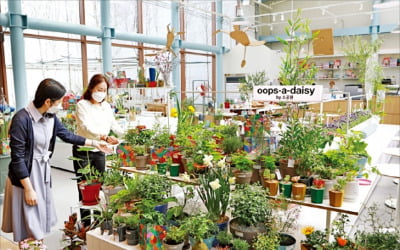 롯데백화점, 반려식물·초록 리빙 아이템…봄맞이 '홈 가드닝' 이벤트