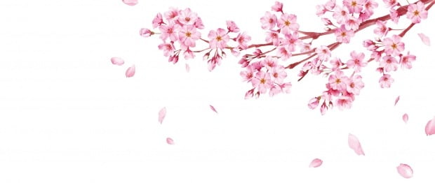 딸기 디저트·참나물 도시락…'봄내음' 퍼지는 유통·식품가