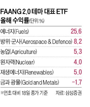 "우리가 FAANG 2.0이다"