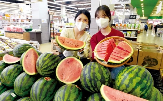 [포토] “올해 첫 수박 맛보세요” 