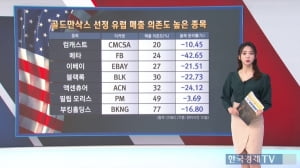 3월 11일 골드만삭스, 유럽 매출 의존도 낮은 미국주식 추천