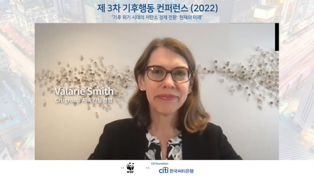 발레리 스미스(Valerie Smith) 씨티그룹 CSO(Chief Sustainability Officer). 사진=WWF 유튜브 캡쳐