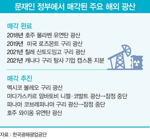 그래픽=배자영 기자