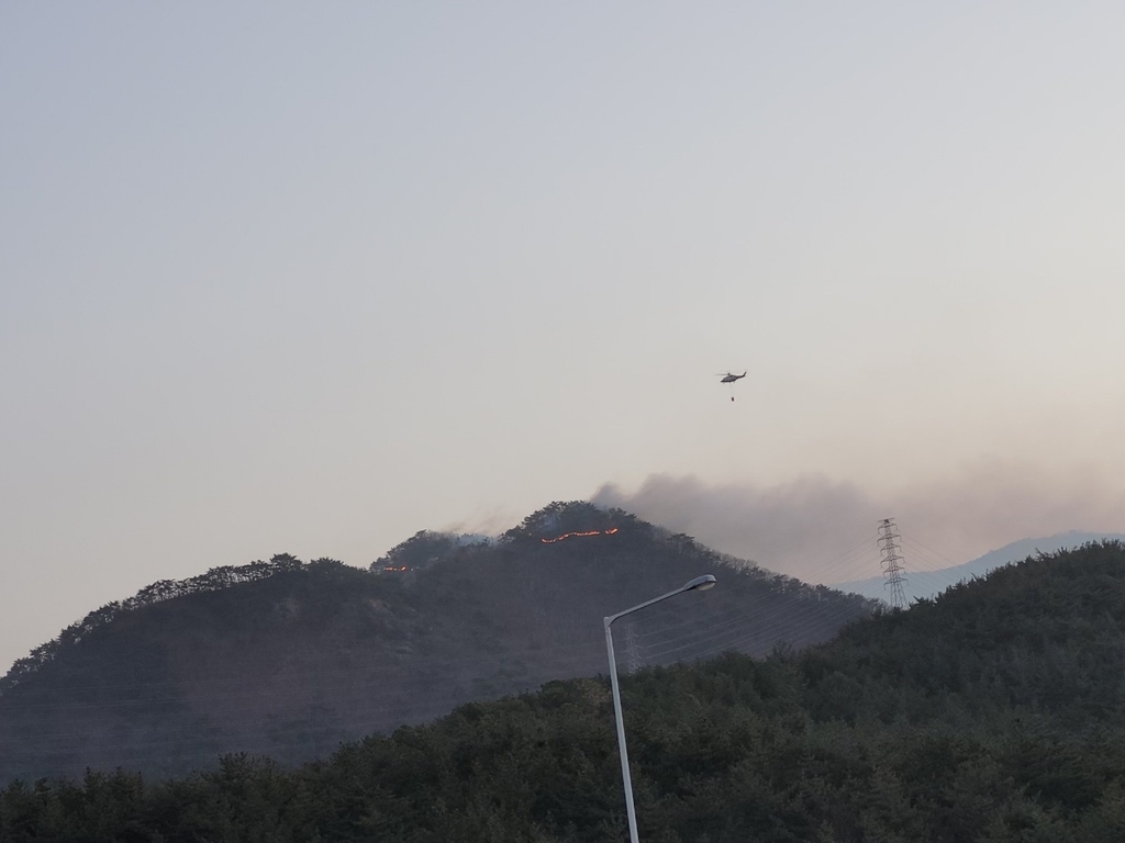 하루 만에 부산 아홉산 또 산불…임야 6천㎡ 태우고 진화(종합)