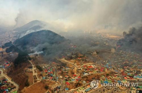 [동해안 산불] 강원 정치권, 강릉·동해 특별재난지역 선포 촉구