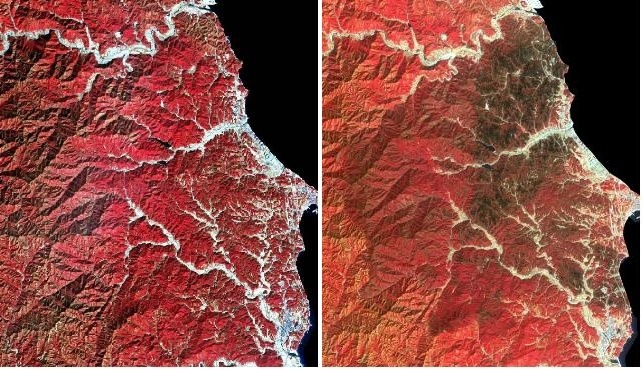 강원도, 산불 피해지역 드론·위성 영상 제공해 복구 지원