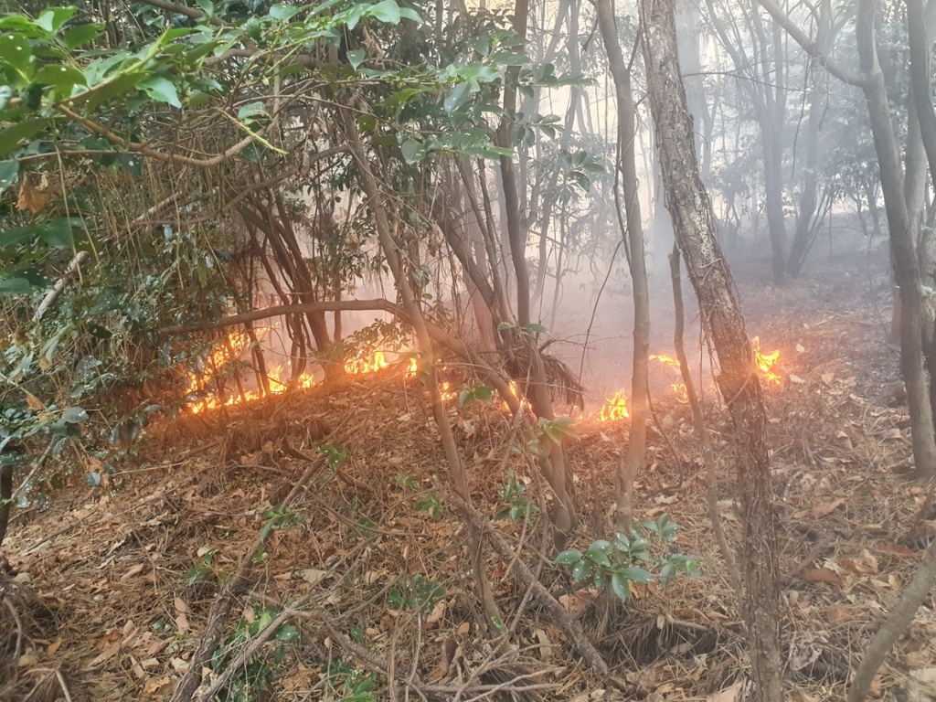 부산 기장군서 산불…3천300㎡ 태우고 진화