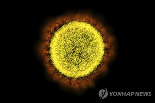 태국서 '델타+오미크론' 델타크론 76건 발견…"겁낼 필요 없어"