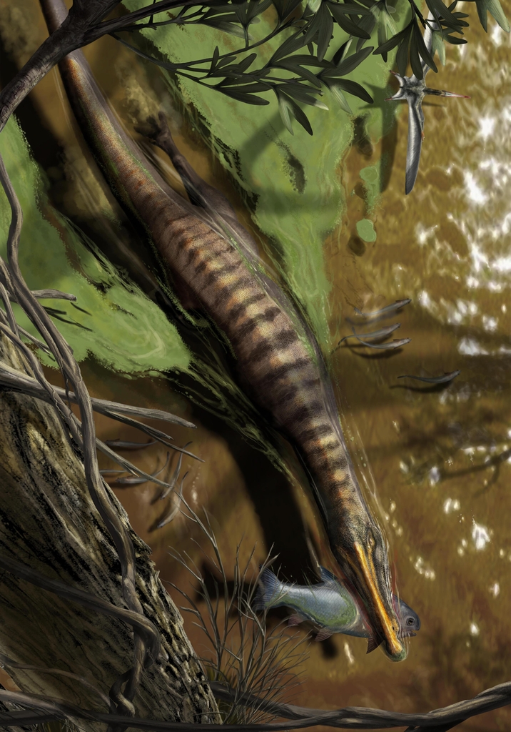 티라노보다 큰 최대 육식공룡 '스피노사우루스'는 수중 사냥꾼