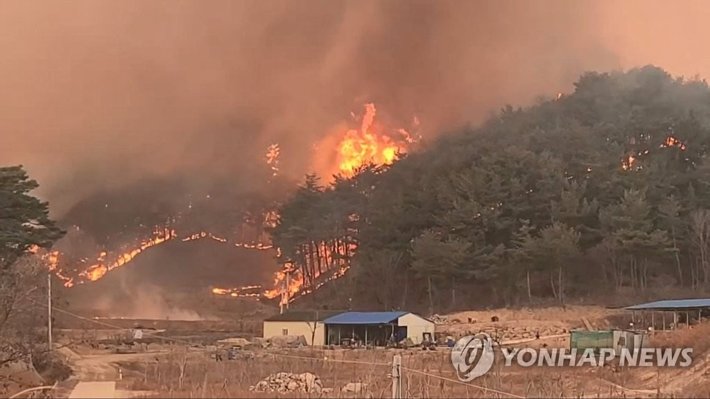 "울진 원전 보호하라...산불에 대용량 방사포 투입"