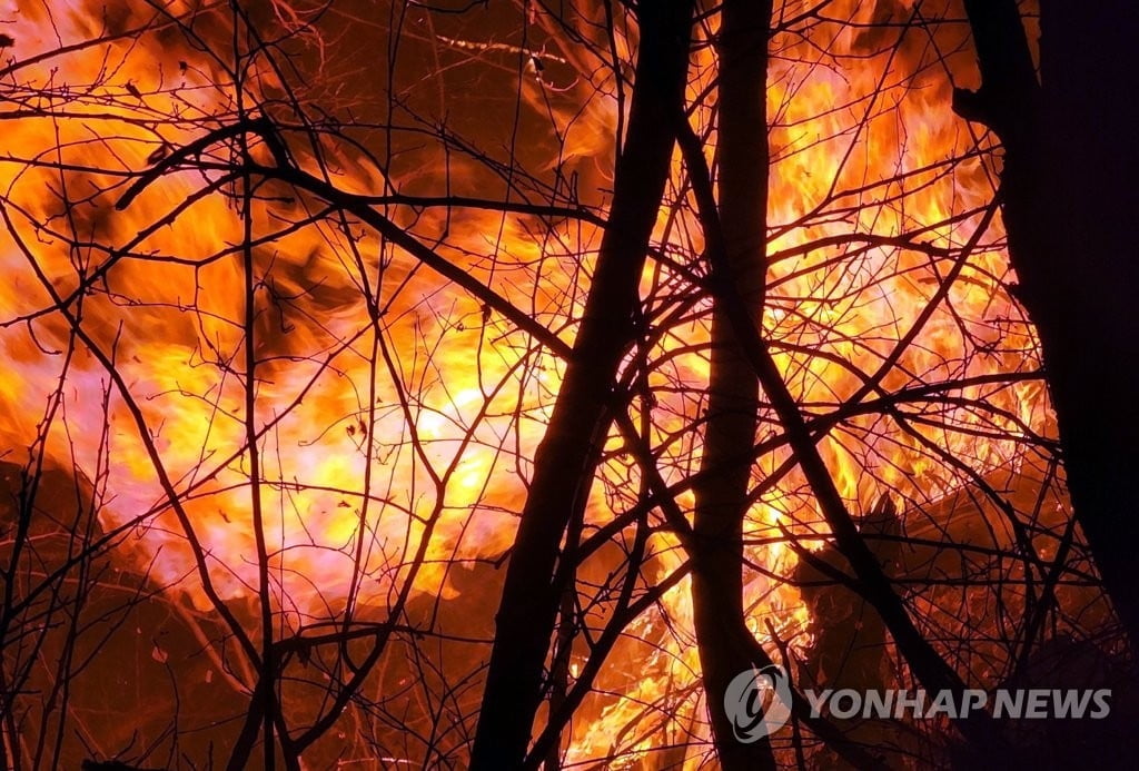 울진 산불 확산 '초비상'…삼척 주민 대피·LNG기지까지 위협