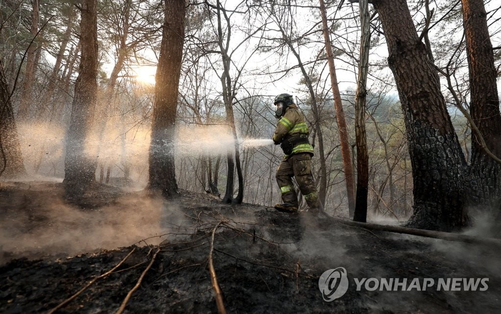 울진·삼척 산불 나흘째…완진까지 시간 걸릴 듯