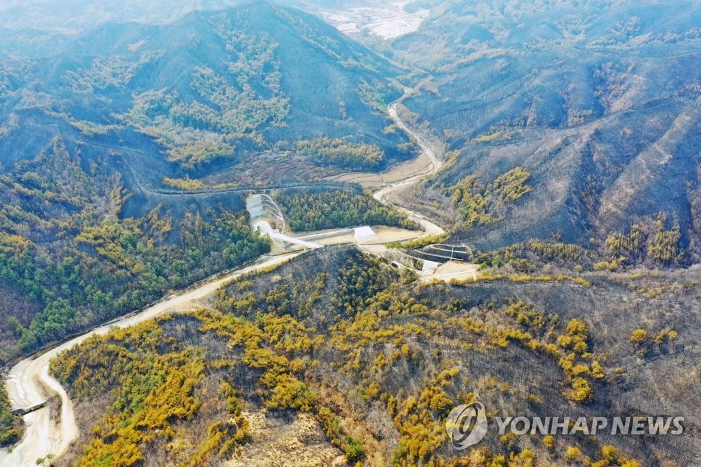 4일째 밤샘 사투…내일 해 뜨면 헬기 82대 집중 투입