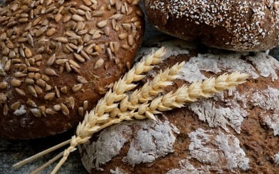 국제 밀 가격 43% ↑…빵집·칼국숫집·만둣집 '멘붕'